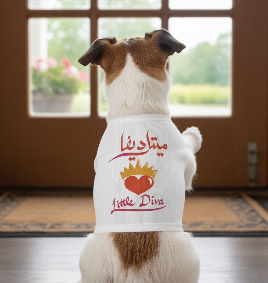 Pets - Accessories