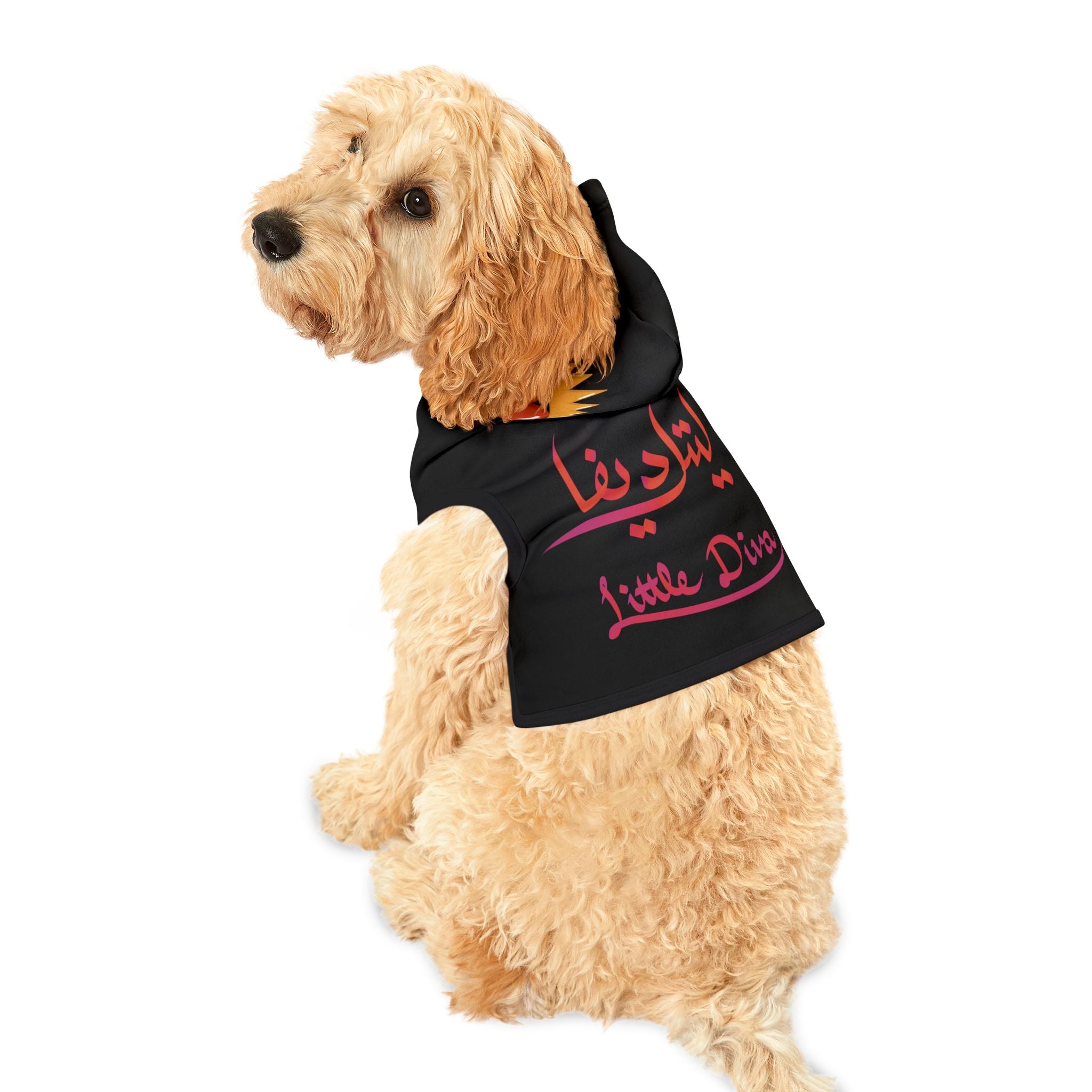 Little Diva Design Pet Hoodie