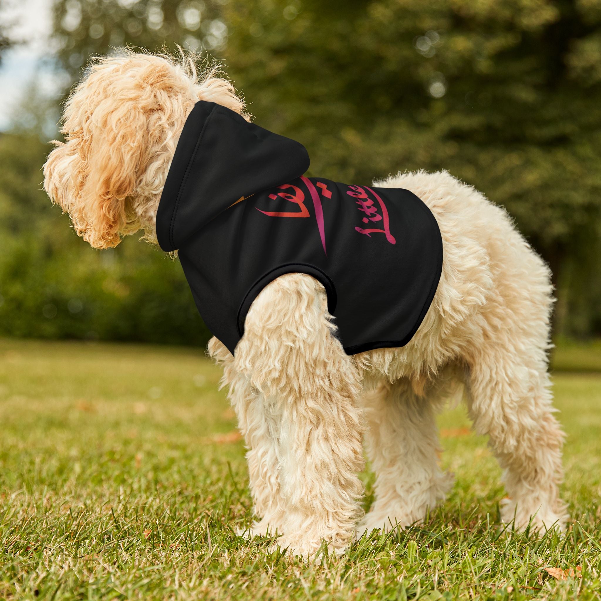 Little Diva Design Pet Hoodie