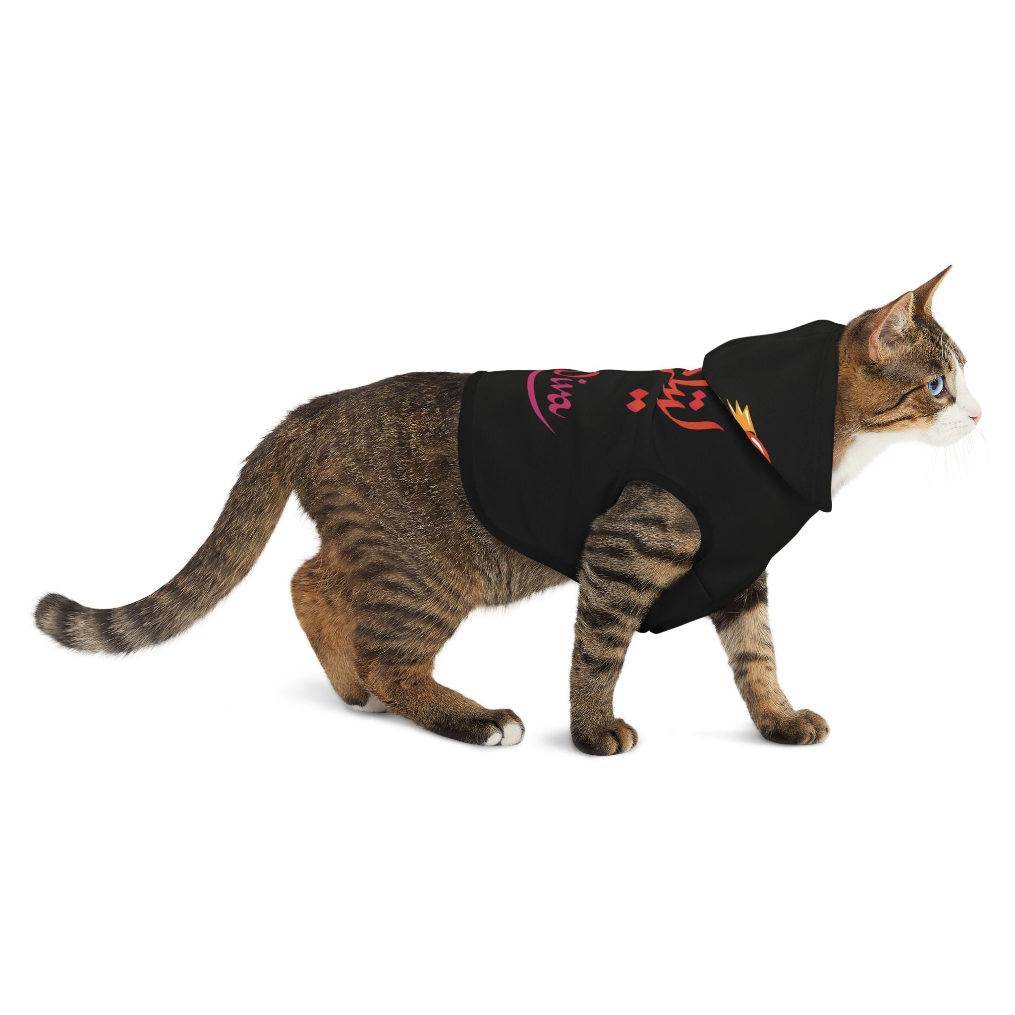 Little Diva Design Pet Hoodie