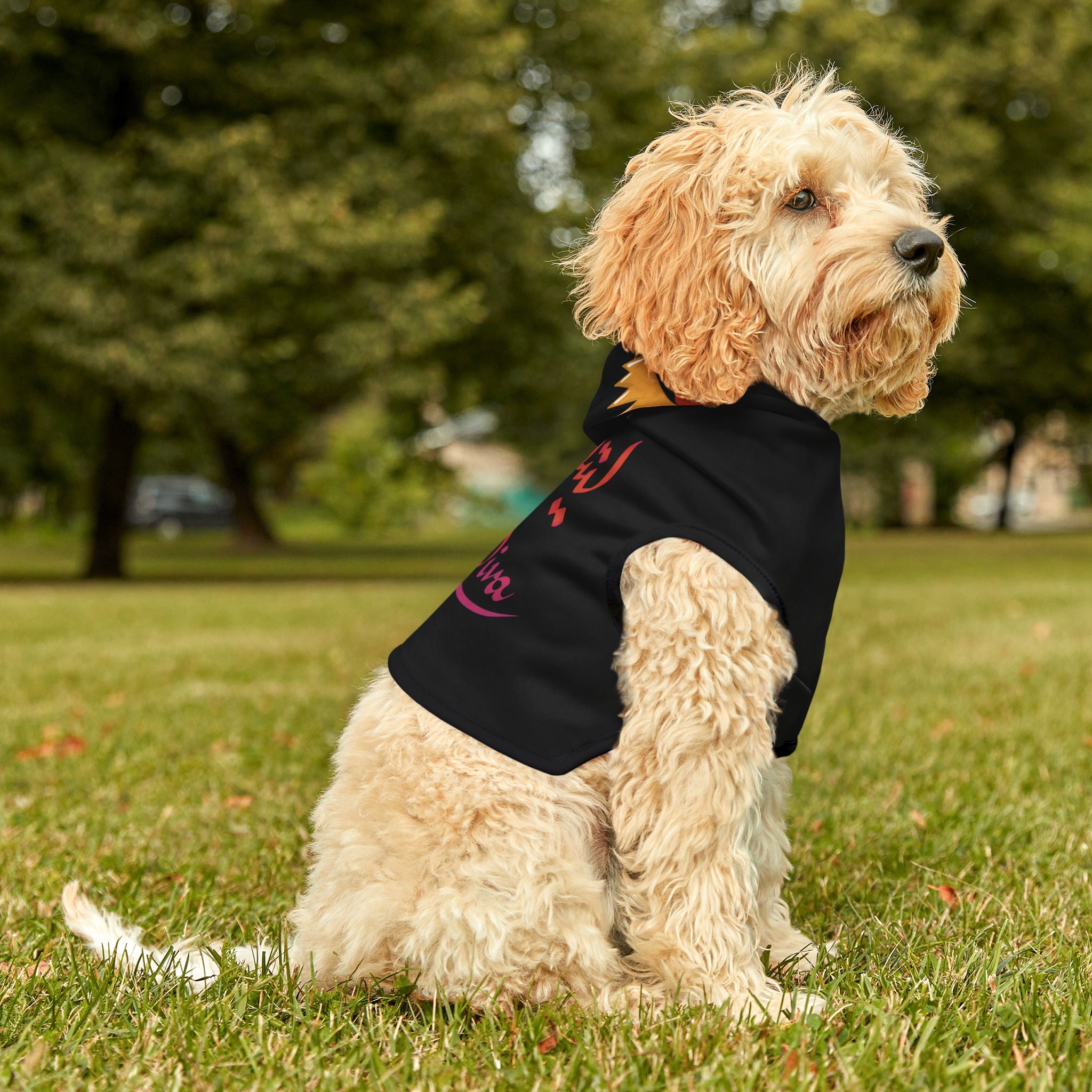 Little Diva Design Pet Hoodie
