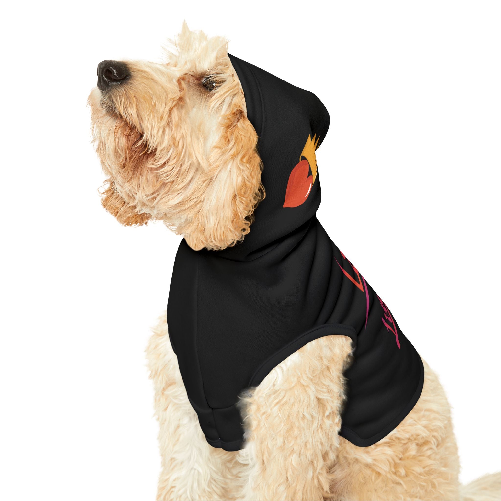 Little Diva Design Pet Hoodie