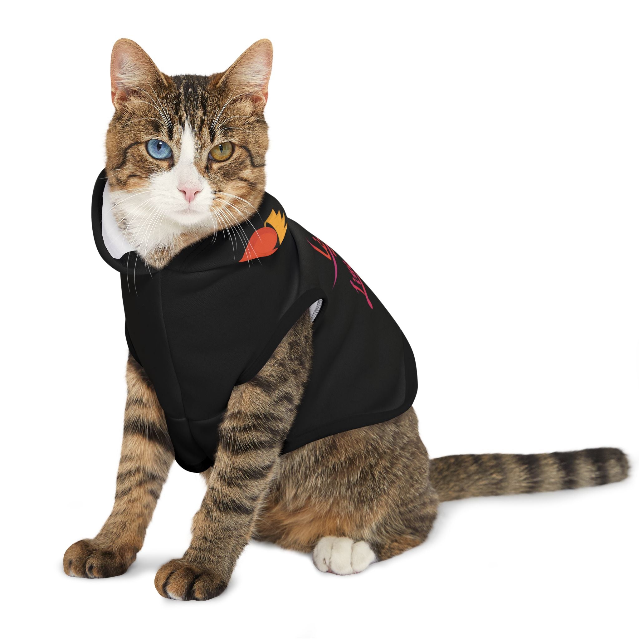 Cat wearing a black hoodie with colorful designs on a white background